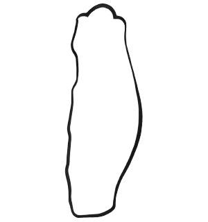 DRG PRODUCTO: 8-94214-985-0